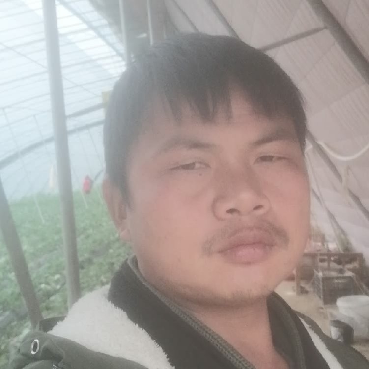 孤狼‘的第一张照片--龙海相亲网