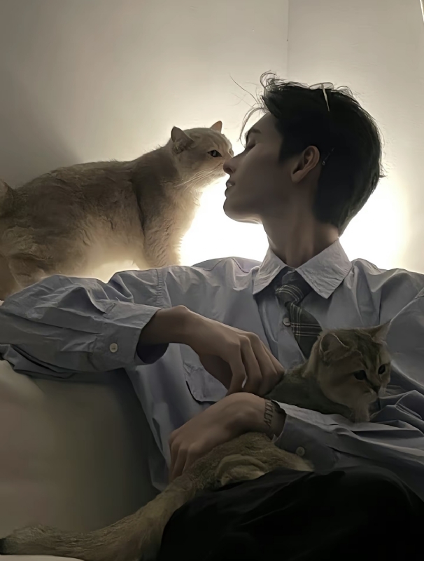 怪猫的第一张照片--龙海相亲网